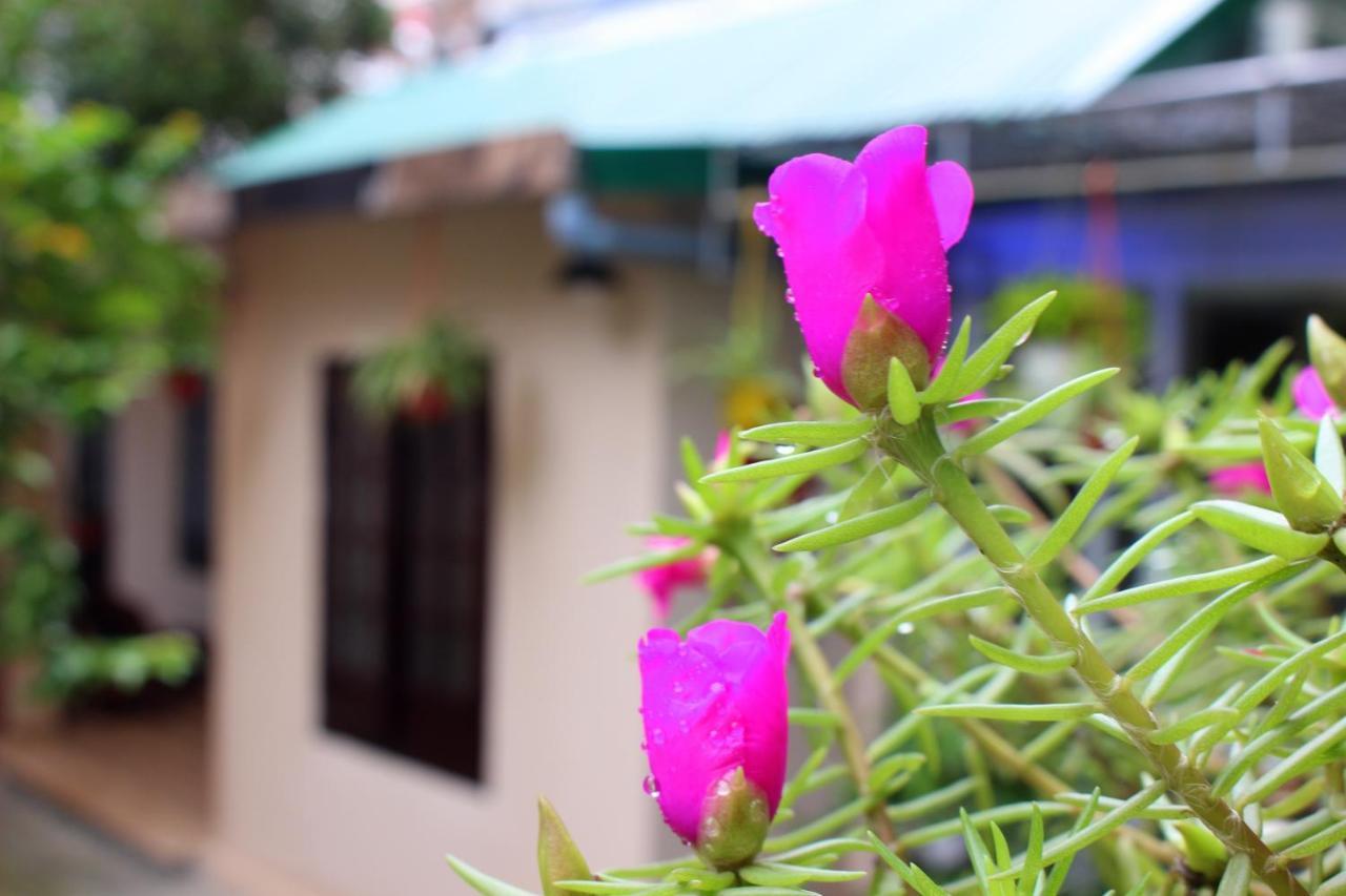 Homestay Minh Tu Hue Exteriör bild